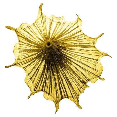 Aqua Creations Medusa LED Wall Sconce - Color: Yellow - Medusa-curry