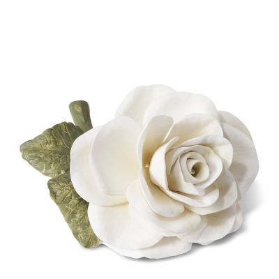AERIN Porcelain Rose in Cream