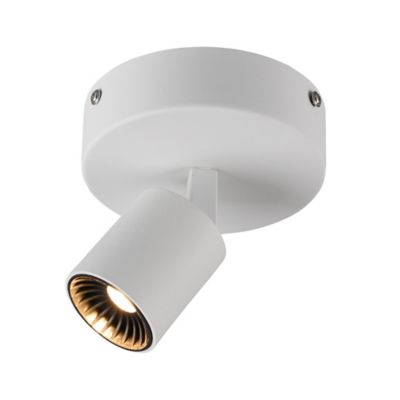 Arnsberg Cayman 1-Light Round LED Wall / Flushmount Light - Color: White - 