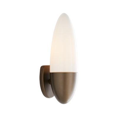Asher Outdoor Wall Sconce