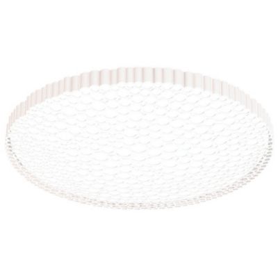 Calipso Wall / Ceiling Light