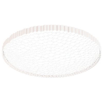 Calipso Wall / Ceiling Light