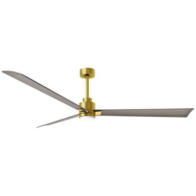 Atlas Fan Company Alessandra LED Ceiling Fan - Color: Gold - Blade Color: G