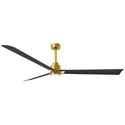 Atlas Fan Company Alessandra LED Ceiling Fan - Color: Gold - Blade Color: M