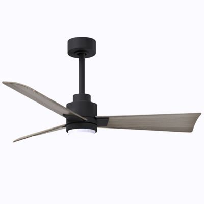 Atlas Fan Company Alessandra LED Ceiling Fan - Color: Black - Blade Color: 