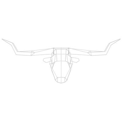 Bend Goods Longhorn Trophy Head - Color: White - LONGHORNWH