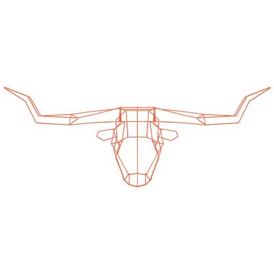 Bend Goods Longhorn Trophy Head - Color: Orange - LONGHORNOR