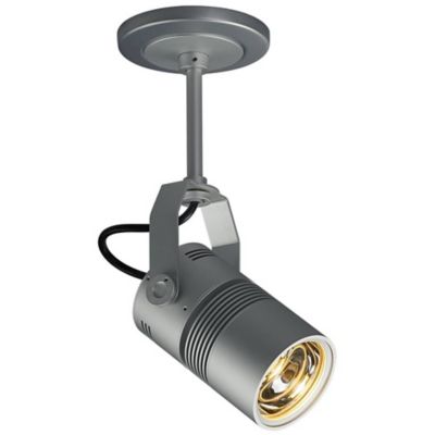 Bruck Lighting Z15 LED Canopy Spot - Color: Silver - 137420mc/11/5/CLR