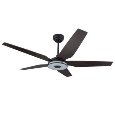 Carro USA Elira LED Indoor/Outdoor Smart Ceiling Fan - Color: Black - Blade