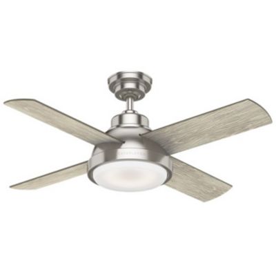 Levitt Ceiling Fan