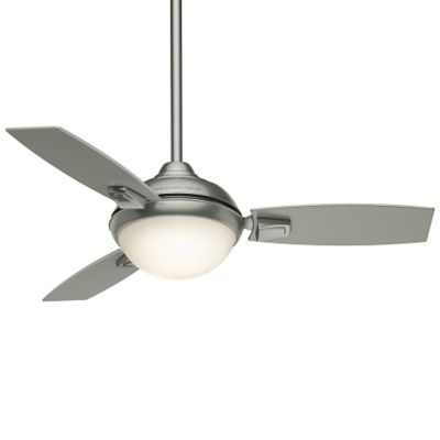 Verse 44 Inch Ceiling Fan