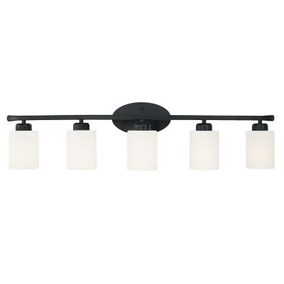 Capital Lighting Dixon Vanity Light - Color: Black - Size: 5 light - 115251