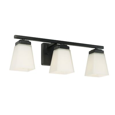 CPL2175014 Capital Lighting Baxley Vanity Light - Color: Blac sku CPL2175014