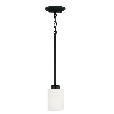 CPL2175047 Capital Lighting Dixon Mini Pendant Light - Color: sku CPL2175047