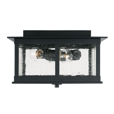 Capital Lighting Barrett Outdoor Flushmount Light - Color: Black - Size: 3 