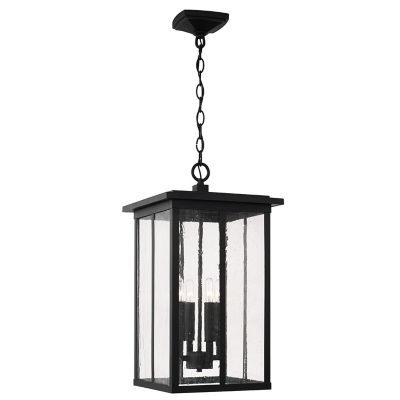 Capital Lighting Barrett Outdoor Pendant Light - Color: Clear - Size: 4 lig