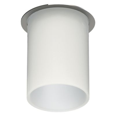 Ardito 3.5 in. Flangeless Frosted Glass Tube Light