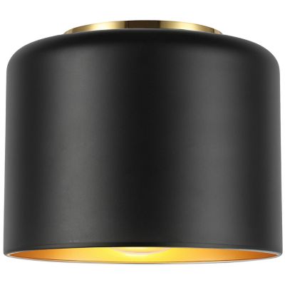 Dainolite Emilia Flushmount Light - Color: Black - Size: 1 light - EMI-81FH