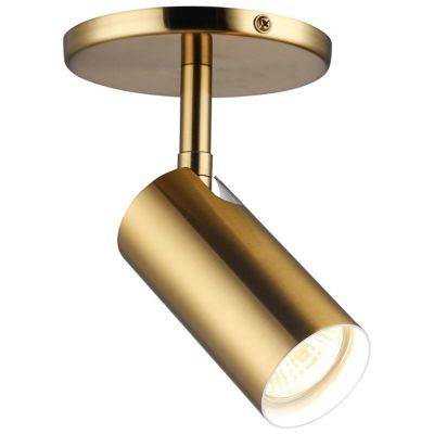 Dainolite Stanly Spotlight - Color: Brass - Size: 1 light - STY-71SPT-AGB