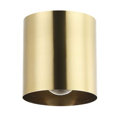 Dainolite Theron Flushmount Light - Color: Brass - Size: 1 light - TRN-41FH