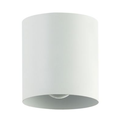 Dainolite Theron Flushmount Light - Color: White - Size: 1 light - TRN-41FH