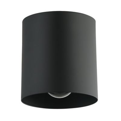 Dainolite Theron Flushmount Light - Color: Black - Size: 1 light - TRN-41FH