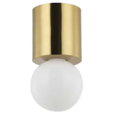 Dainolite Theron Globe Flushmount Light - Color: Brass - Size: 1 light - TR