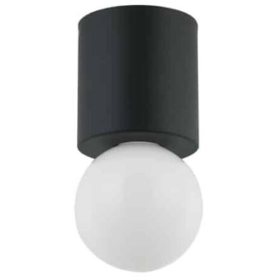 Dainolite Theron Globe Flushmount Light - Color: Black - Size: 1 light - TR