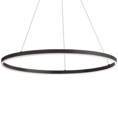 Dainolite Circulo LED Ring Chandelier - Color: Black - Size: Medium - CIR-3