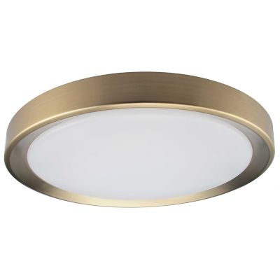 Dainolite Flynn LED Flushmount Light in Brass