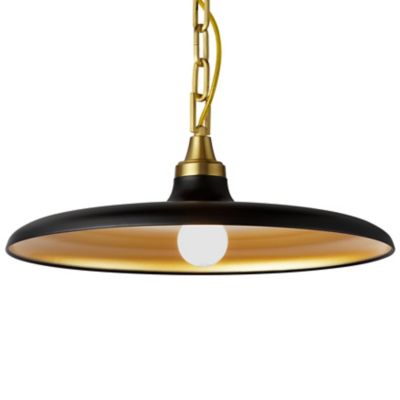 Dainolite Quentin Pendant Light - Color: Black - Size: 1 light - QTN-181P-M