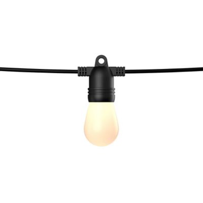 DALS Lighting Orion Smart Outdoor String LED Light - Color: Black - Size: 1