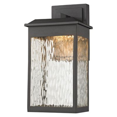 Elk Home Newcastle LED Outdoor Wall Sconce - Color: Black - Size: Medium - 