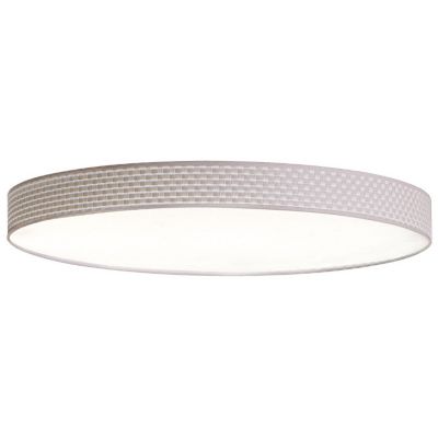 Slim Small Flushmount