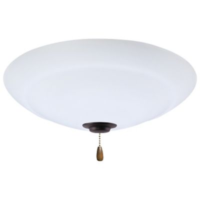 Riley LED Light Fixture