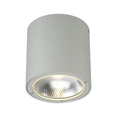 Huxe Calabria LED Outdoor Ceiling Light in Grey