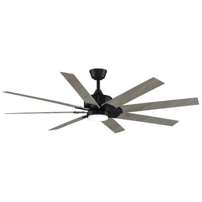 Fanimation Levon DC Ceiling Fan - Color: Black - Blade Color: Washed Pine -