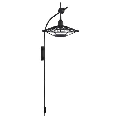Carpa Wall Sconce