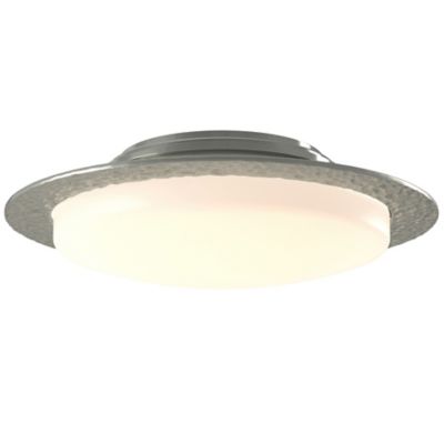 Hubbardton Forge Oceanus Flushmount Light - Color: Silver - Size: 2 light -