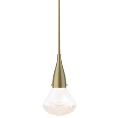 HBF1969120 Hubbardton Forge Fritz Teardrop Large Mini Pendant sku HBF1969120