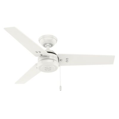 Cassius Outdoor Ceiling Fan