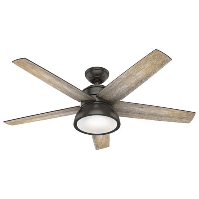 Abernathy Ceiling Fan