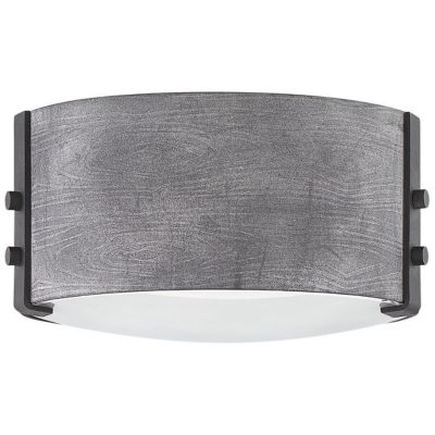 Hinkley Sawyer Outdoor Flushmount Light - Color: Grey - Size: 15 - 29203