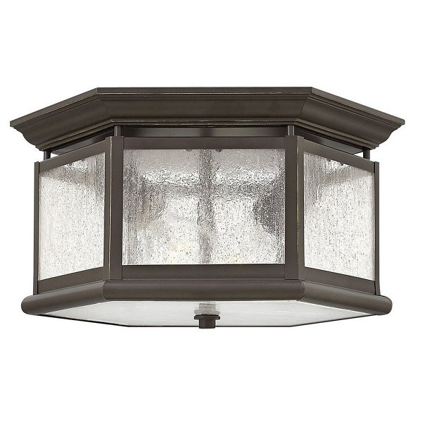 Hinkley Edgewater Outdoor Flushmount Light - Color: Clear - Size: 2 light -