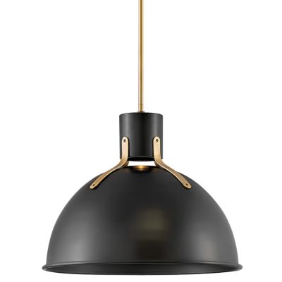 Hinkley Argo Pendant Light - Color: Black - Size: Large - 3483SK