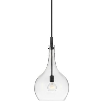 Hinkley Ziggy Pendant Light - Color: Black - Size: 1 light - 4457BK-CL