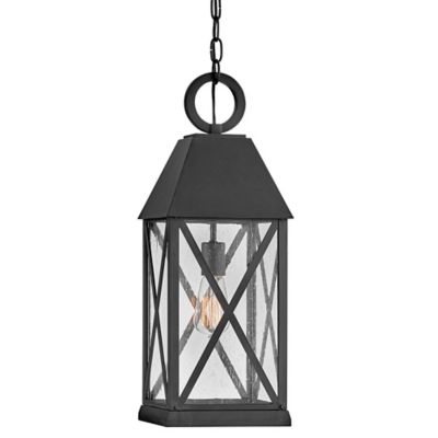 Hinkley Briar Outdoor Pendant Light - Color: Black - Size: 1 light - 23302M