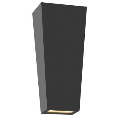 Hinkley Cruz Outdoor Wall Sconce - Color: Black - Size: Large - 13024BK-LL