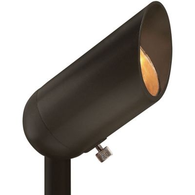 Hinkley LumaCORE Accent LED Spot Light - Color: Matte - Size: 1 light - 553