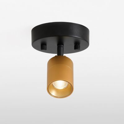 Huxe Ciero LED Wall / Flushmount Light - Color: Brass